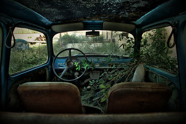 Stunning Pictures Show How Nature has Reclaimed Cars Left Abandoned