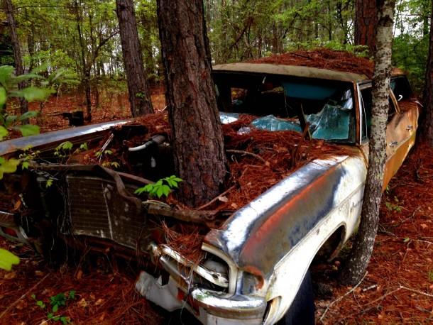 Stunning Pictures Show How Nature has Reclaimed Cars Left Abandoned