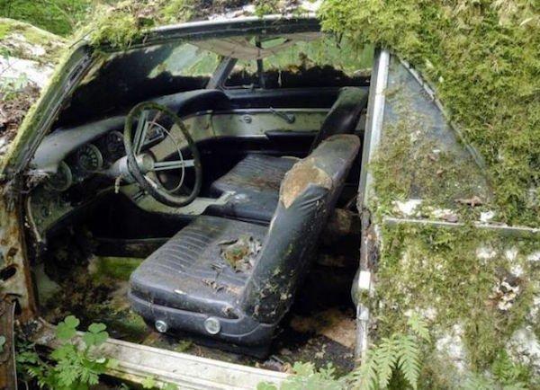 Stunning Pictures Show How Nature has Reclaimed Cars Left Abandoned