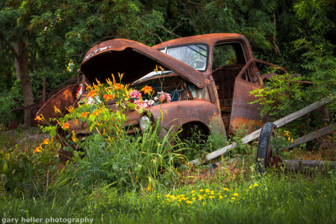 Stunning Pictures Show How Nature has Reclaimed Cars Left Abandoned