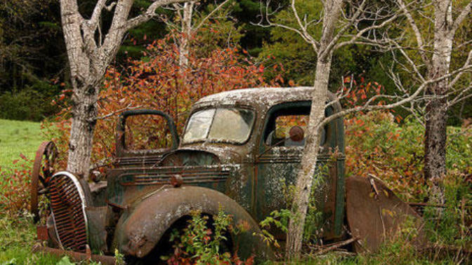 Stunning Pictures Show How Nature has Reclaimed Cars Left Abandoned