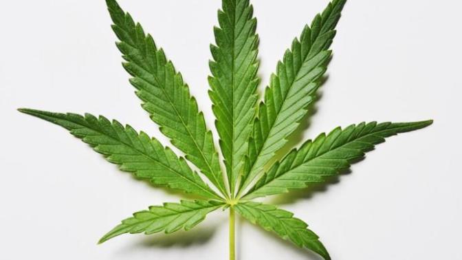 The Problem with Second-hand Marijuana Smoke