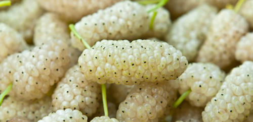 Great Food Sources for Vitamins and Minerals: The Healing Effect of Nature