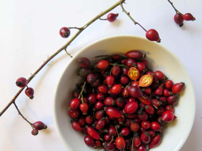 Great Food Sources for Vitamins and Minerals: The Healing Effect of Nature