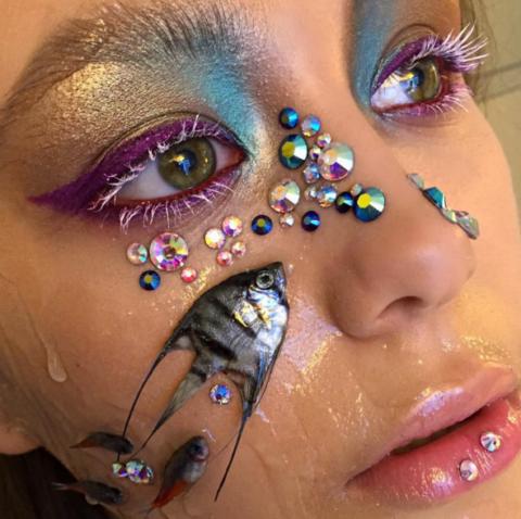 The Weirdest Makeup Styles: Pick Your Favorite!