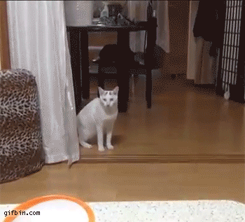 How Do We Walk? Pick your favorite way of stepping it -Part 5-