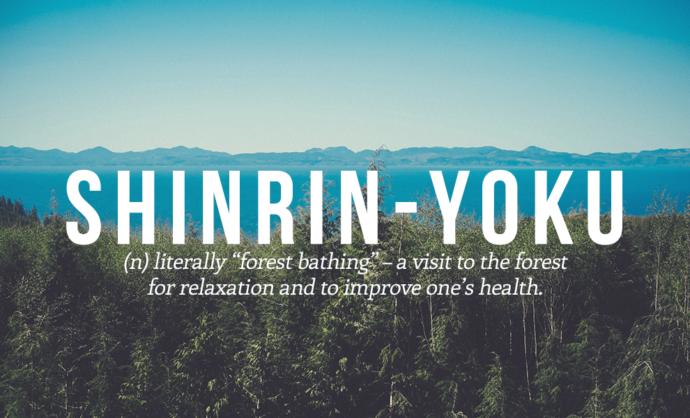 Perfect Japanese Words You Need In Your Life!