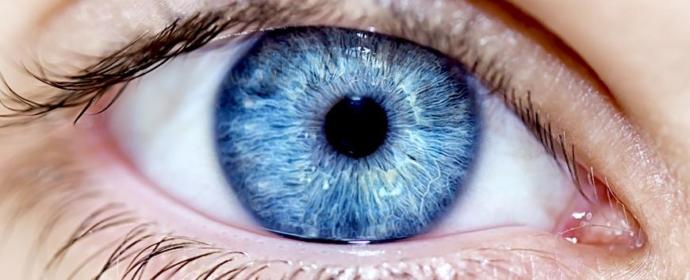 12 Unbelievable Facts About Human Eye
