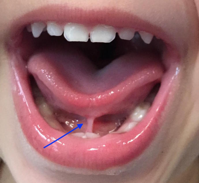 4 Body Parts that You Probably Didn't Know Their Purpose