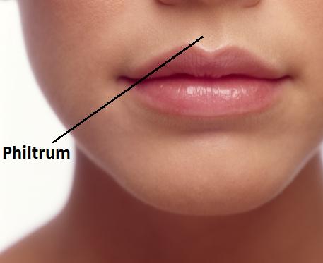4 Body Parts that You Probably Didn't Know Their Purpose