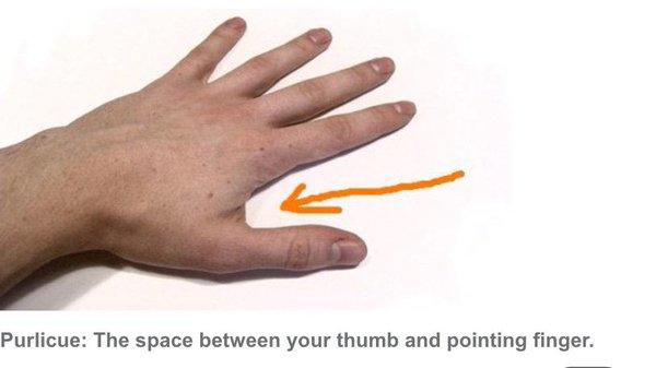 4 Body Parts that You Probably Didn't Know Their Purpose