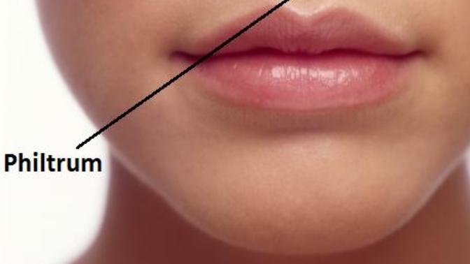 4 Body Parts that You Probably Didn't Know Their Purpose