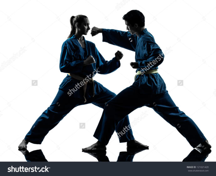 Kung Fu and Yoga. Why Everyone Should Practice Yoga-Fu.