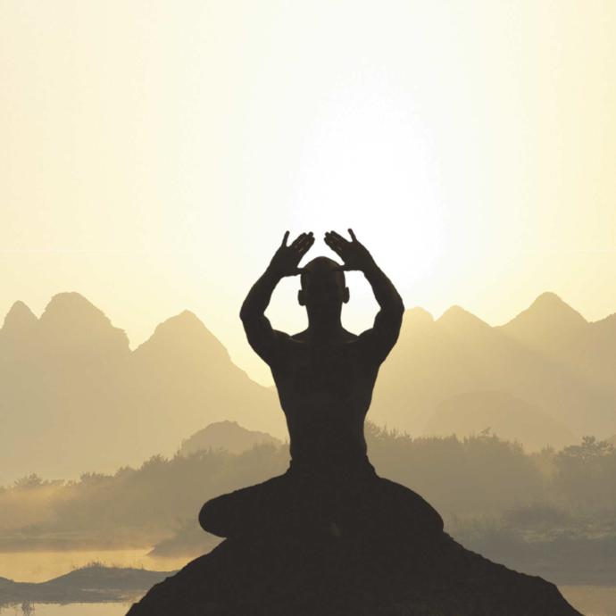 Kung fu and yoga. Why everyone should practice Yoga-Fu.