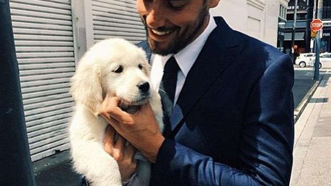 How to Pet a Dog