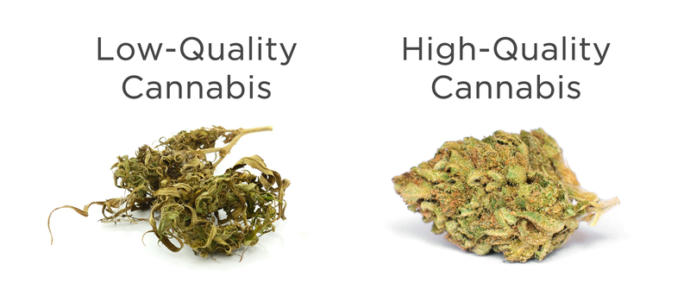 The Spring Festival of Colours and the Story Behind it. #Holi!