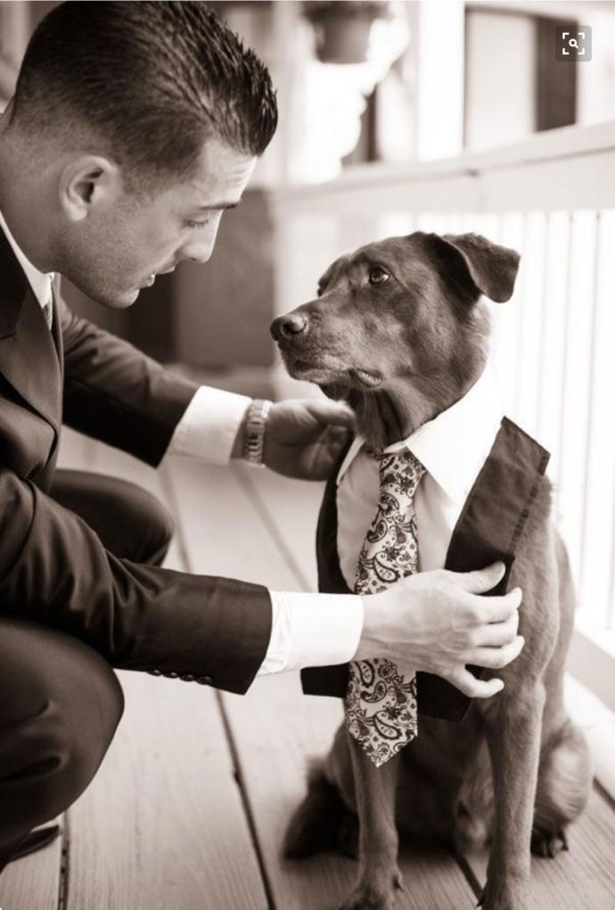 20 Amazing Examples of Wedding Photography