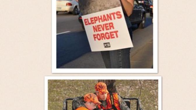 My Opinion on Animal Rights Activists and Hunters