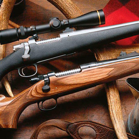 The Real Reason Why we Have Guns, and Should Keep Them!
