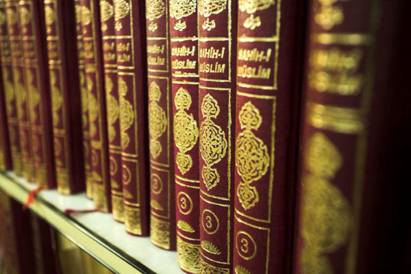 Islam =/= Quranism (A Short Guide to Islam)