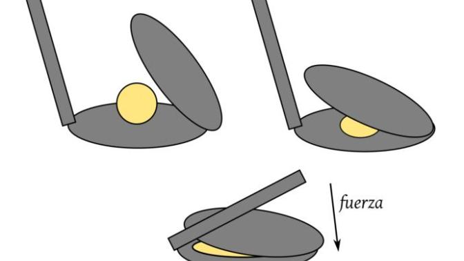 How to make (corn) Tortillas!