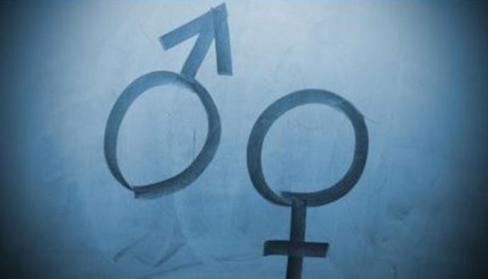 Problems with the Misandrists in the Feminism Movement and Misogynists in the MRA Movement