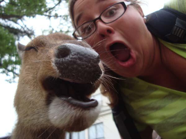 The Funniest Selfies With Animals