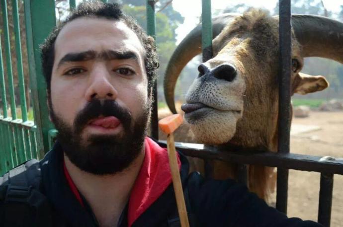 the funniest selfies with animals