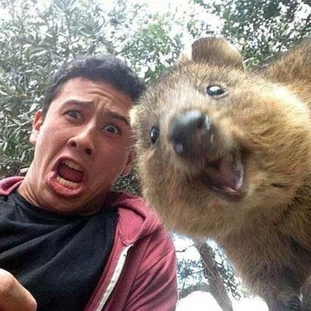 The Funniest Selfies With Animals