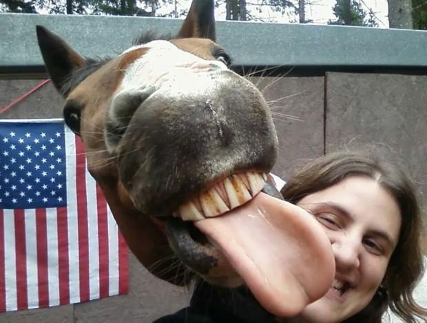 The Funniest Selfies With Animals