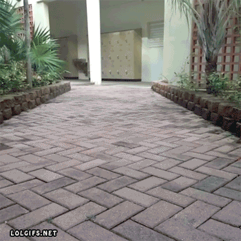 How To Get A Girlfriend -Tricks and Tips- By Natured