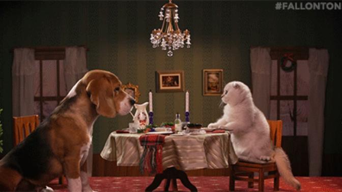 Spicing Up Relationships, Make It Last For Ever