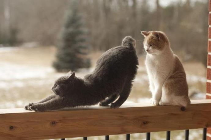 6 Thoughts of a Yoga Student During Class!