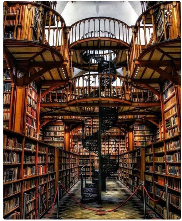 13 Gorgeous Libraries