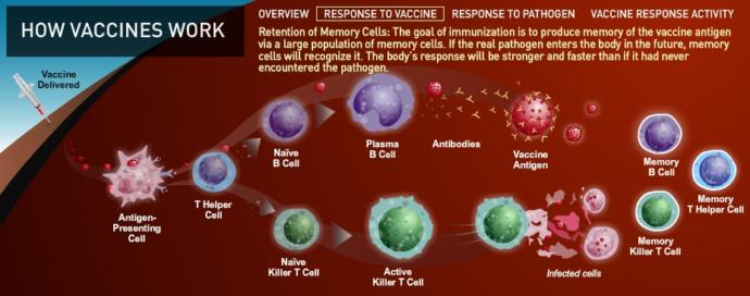 Why the Anti-Vaccine Movement is Bullshit!