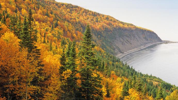 Canada, Eh? Everything You Didn't Need to Know