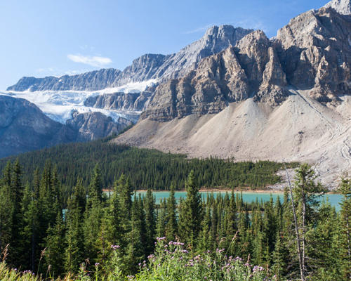 Canada, Eh? Everything You Didn't Need to Know