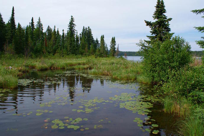 Canada, Eh? Everything You Didn't Need to Know