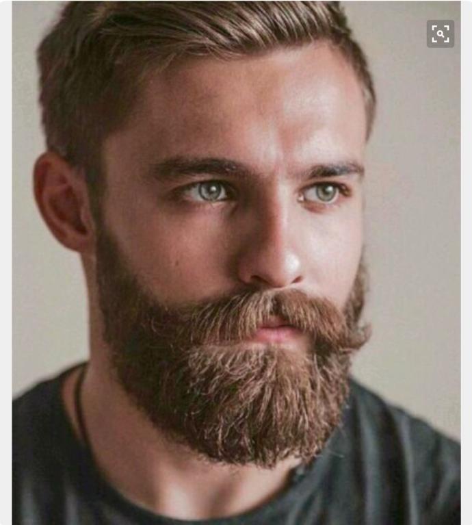 16 Beard Styles That Men Can Try
