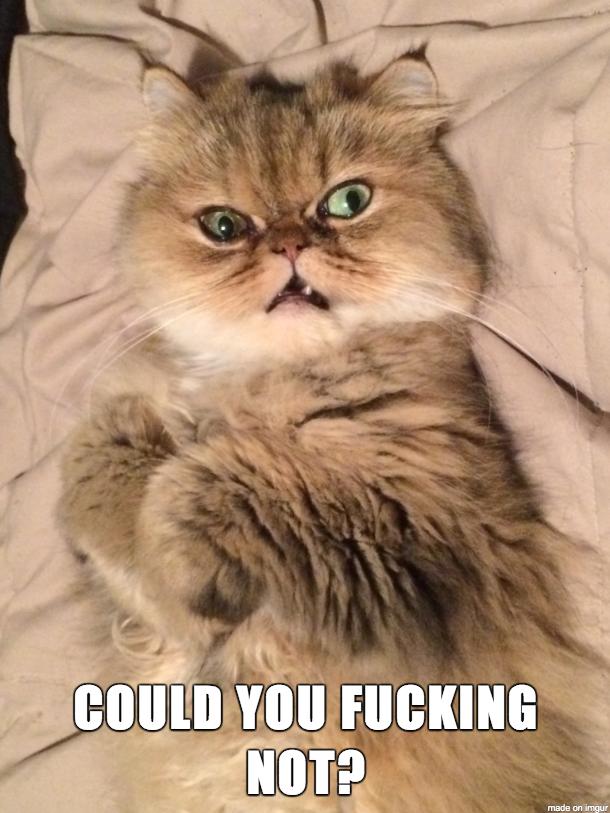 I Know It Could Be Worse... and I Don't Care.