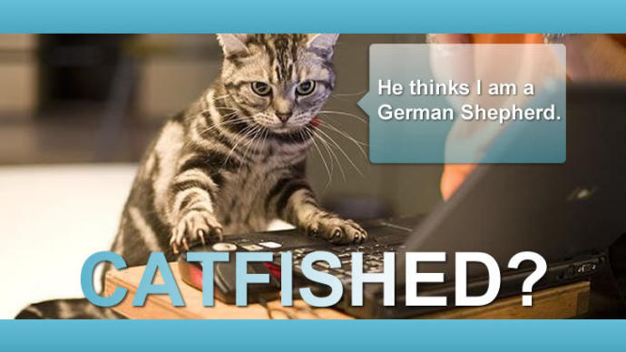 How to catch a CATFISH!