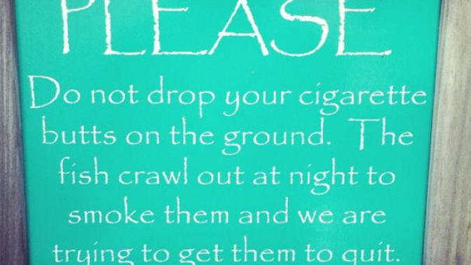 Entertaining Things! 10 Funny Zoo Signs