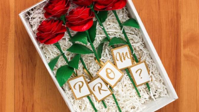 My Top Five Prom Proposal Ideas