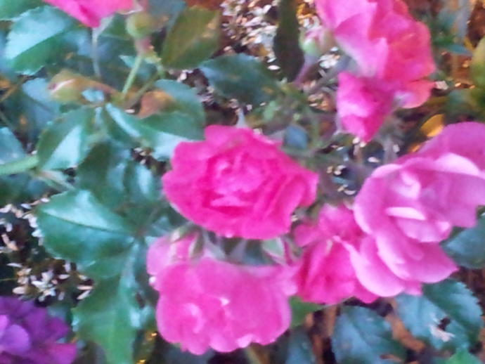 What is True Beauty?