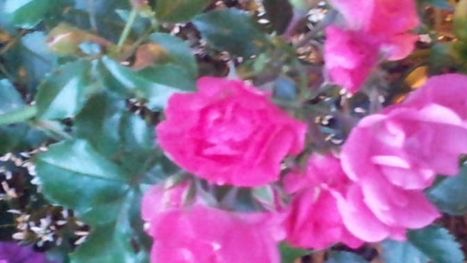 What is True Beauty?