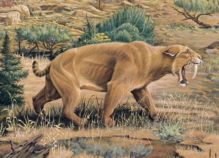 6 Fascinating Animals That Are Now Extinct