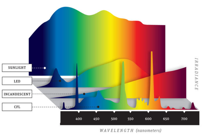 How Blue Blocking Sunglasses Improved My Sleep