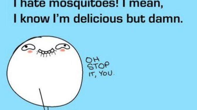 Why Do Mosquitos Bite Some People More!