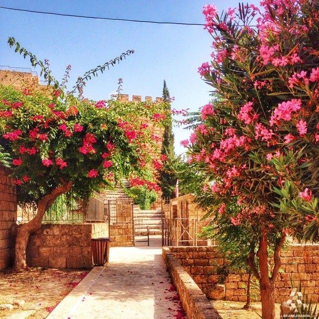 Sixteen Beautiful Streets in the World