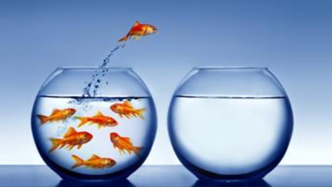 What I Have Learned in my First Days in my Job Transition Period